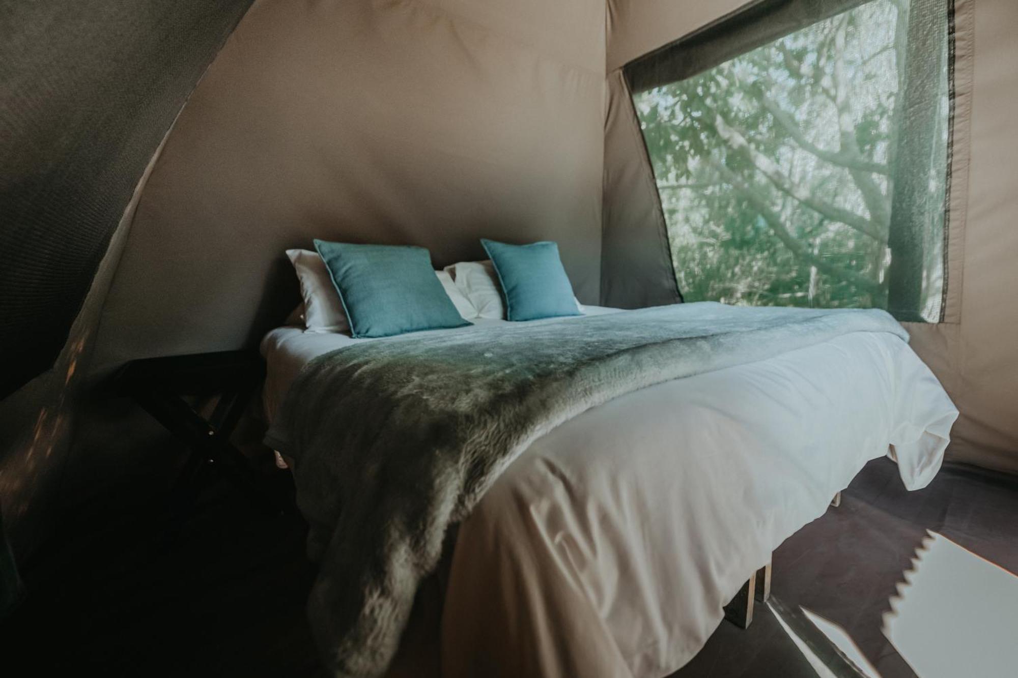 Storms River Forest Lodge Stormsrivier Dış mekan fotoğraf