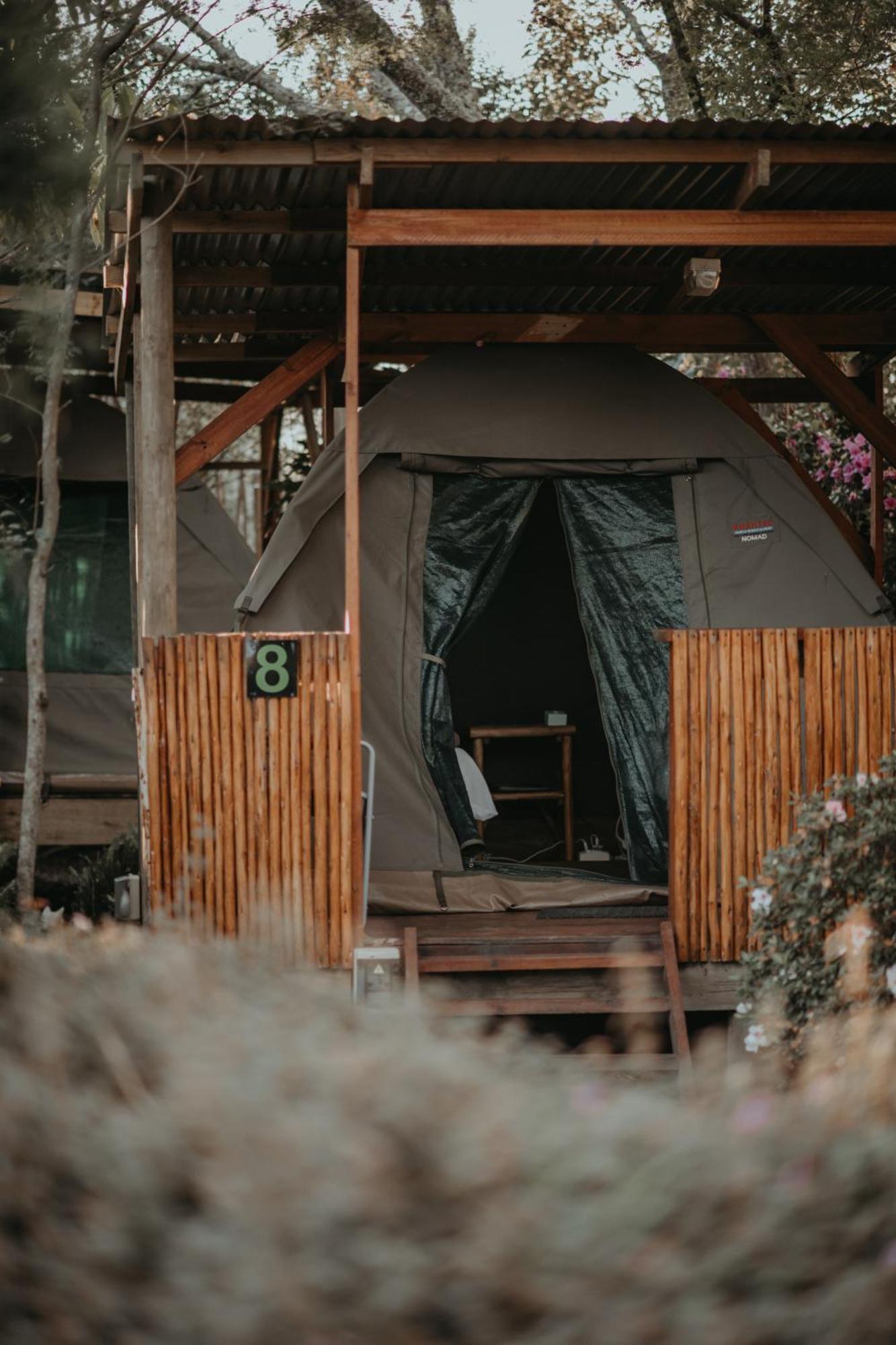 Storms River Forest Lodge Stormsrivier Dış mekan fotoğraf
