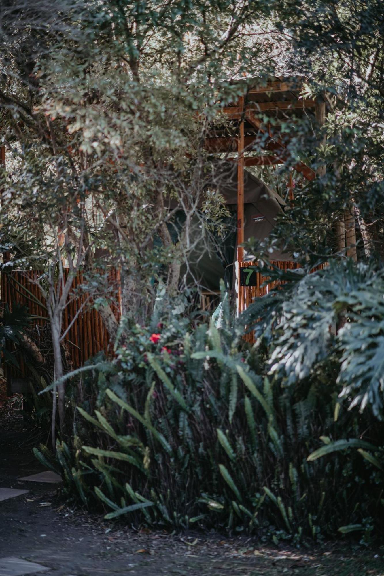 Storms River Forest Lodge Stormsrivier Dış mekan fotoğraf